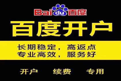 SEM运营公司案例研究：优化广告投放策略